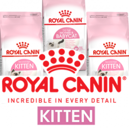 [ROYAL CANIN 法國皇家] Baby cat & Kitten 幼貓系列